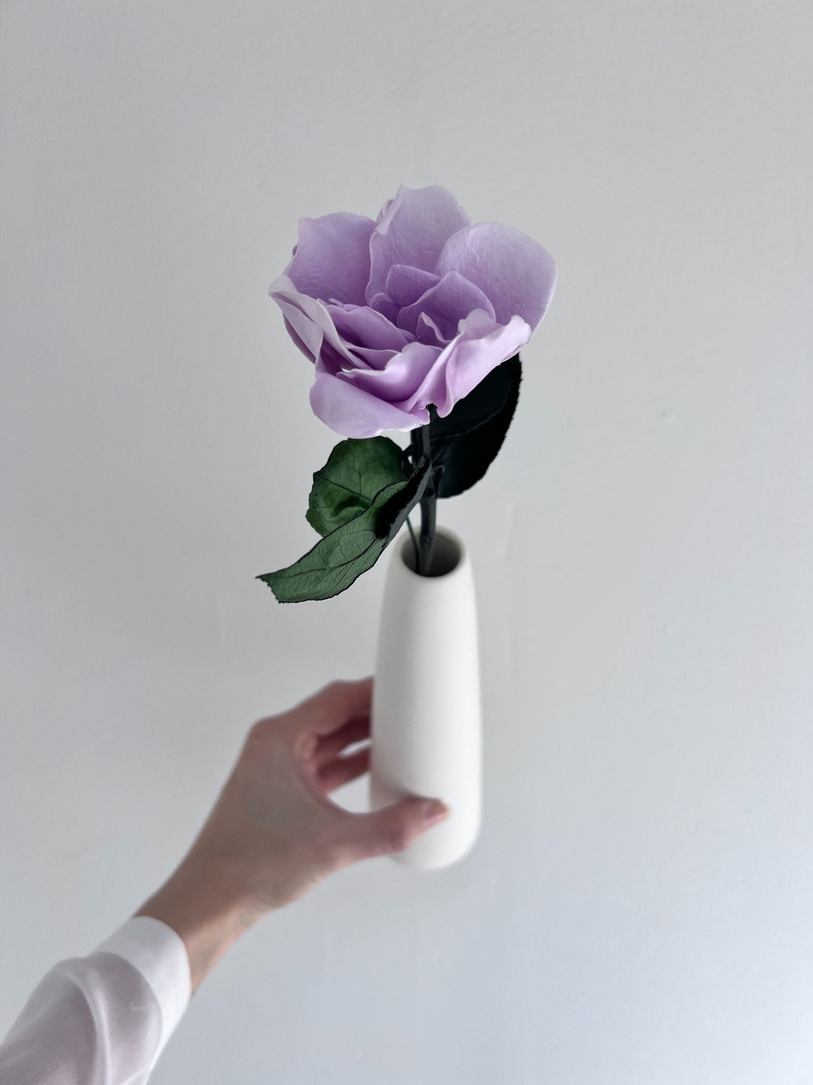 The Classic Gardenia – Light Lavender Long Stem Preserved Gardenia in Ceramic Bud Vase – Classic