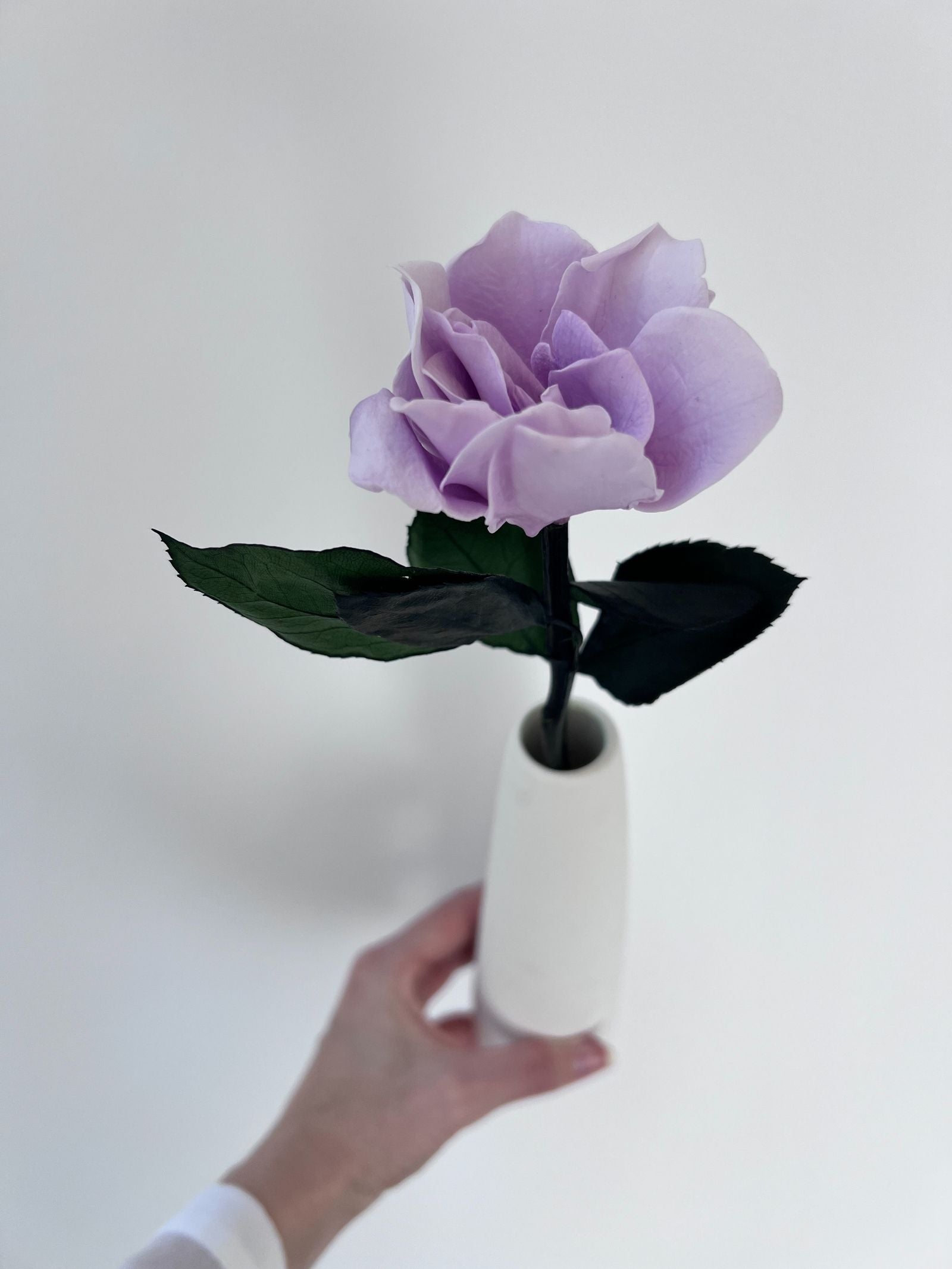 The Classic Gardenia – Light Lavender Long Stem Preserved Gardenia in Ceramic Bud Vase – Classic