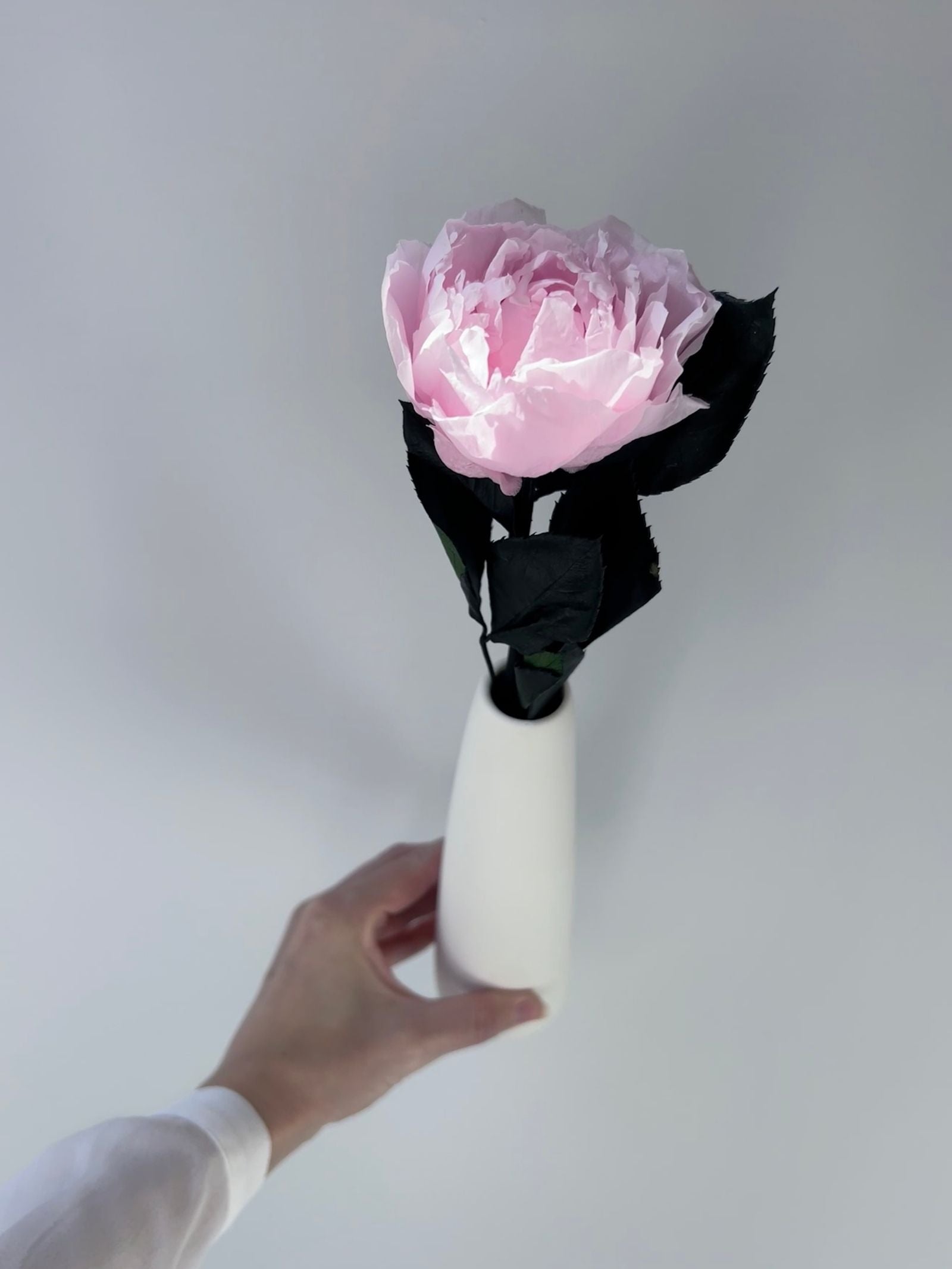 The Classic Peony – Pink Lace Long Stem Preserved Peony in Ceramic Bud Vase – Classic