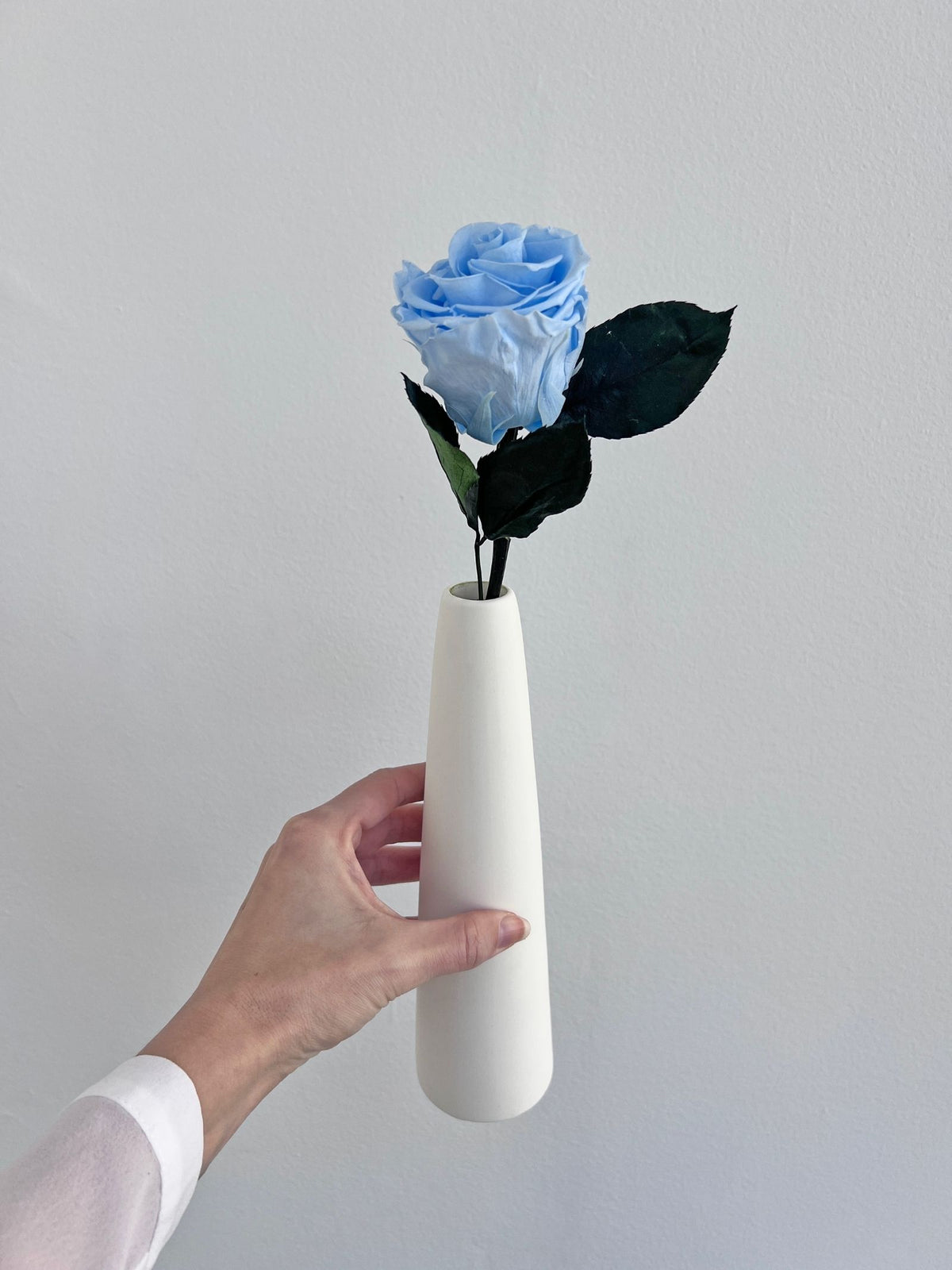 The Classic Rose – Crystal Blue Long Stem Preserved Rose in Ceramic Bud Vase – Classic