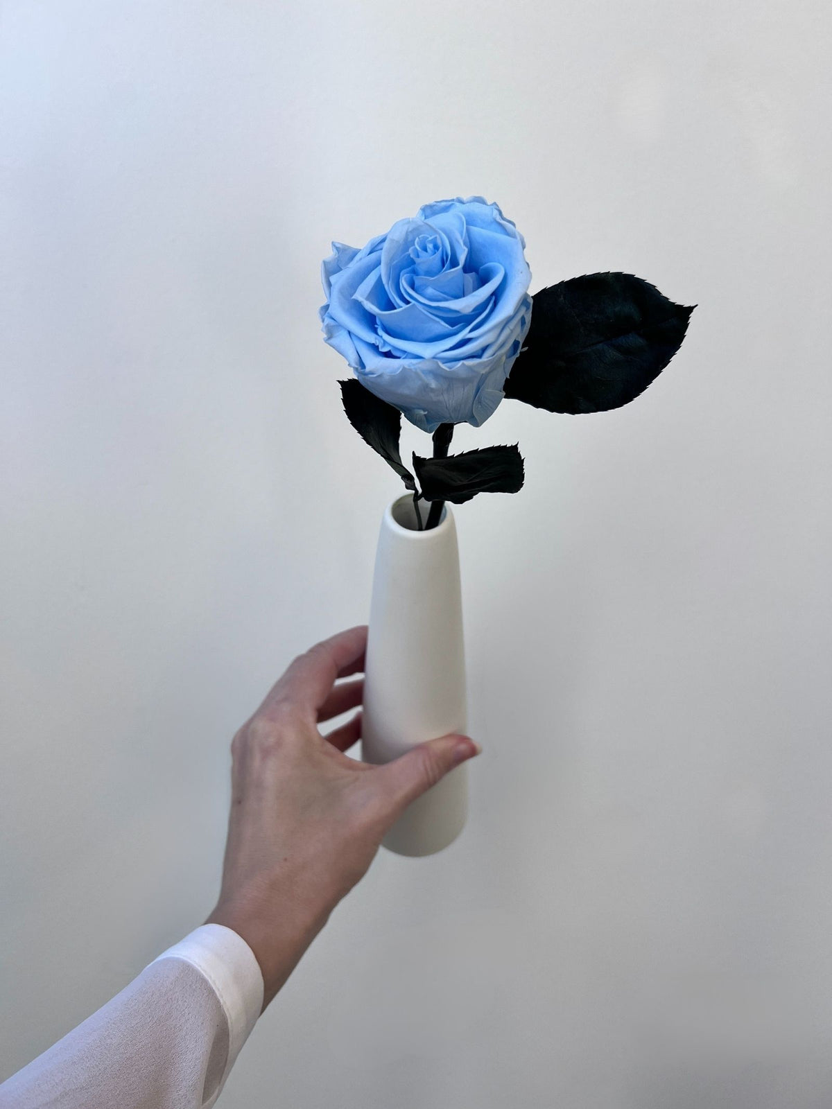 The Classic Rose – Crystal Blue Long Stem Preserved Rose in Ceramic Bud Vase – Classic