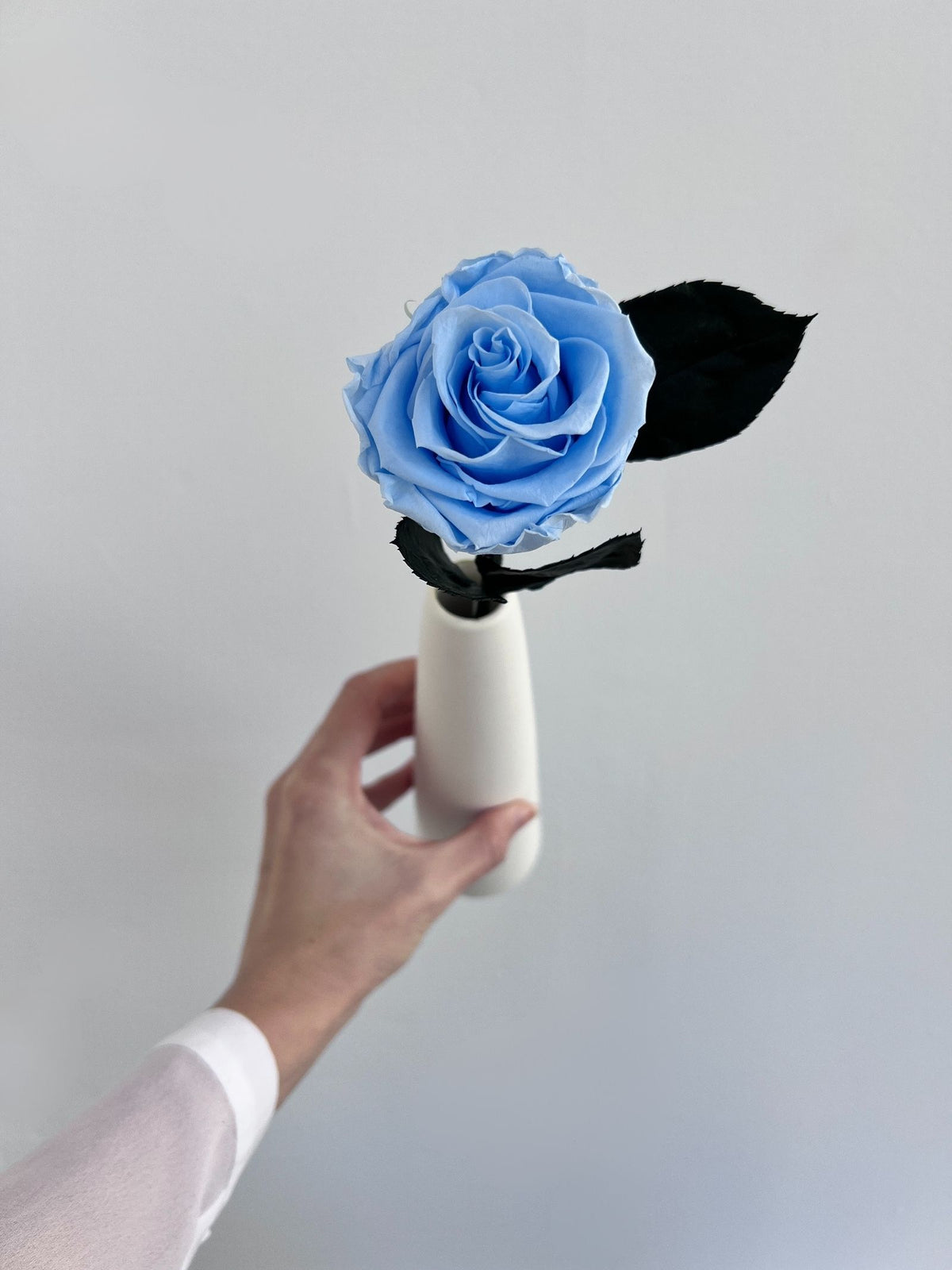 The Classic Rose – Crystal Blue Long Stem Preserved Rose in Ceramic Bud Vase – Classic