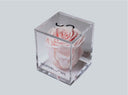<h6>New Arrival</h6><p></p><h4>The Crystal Rose Collection</h4>