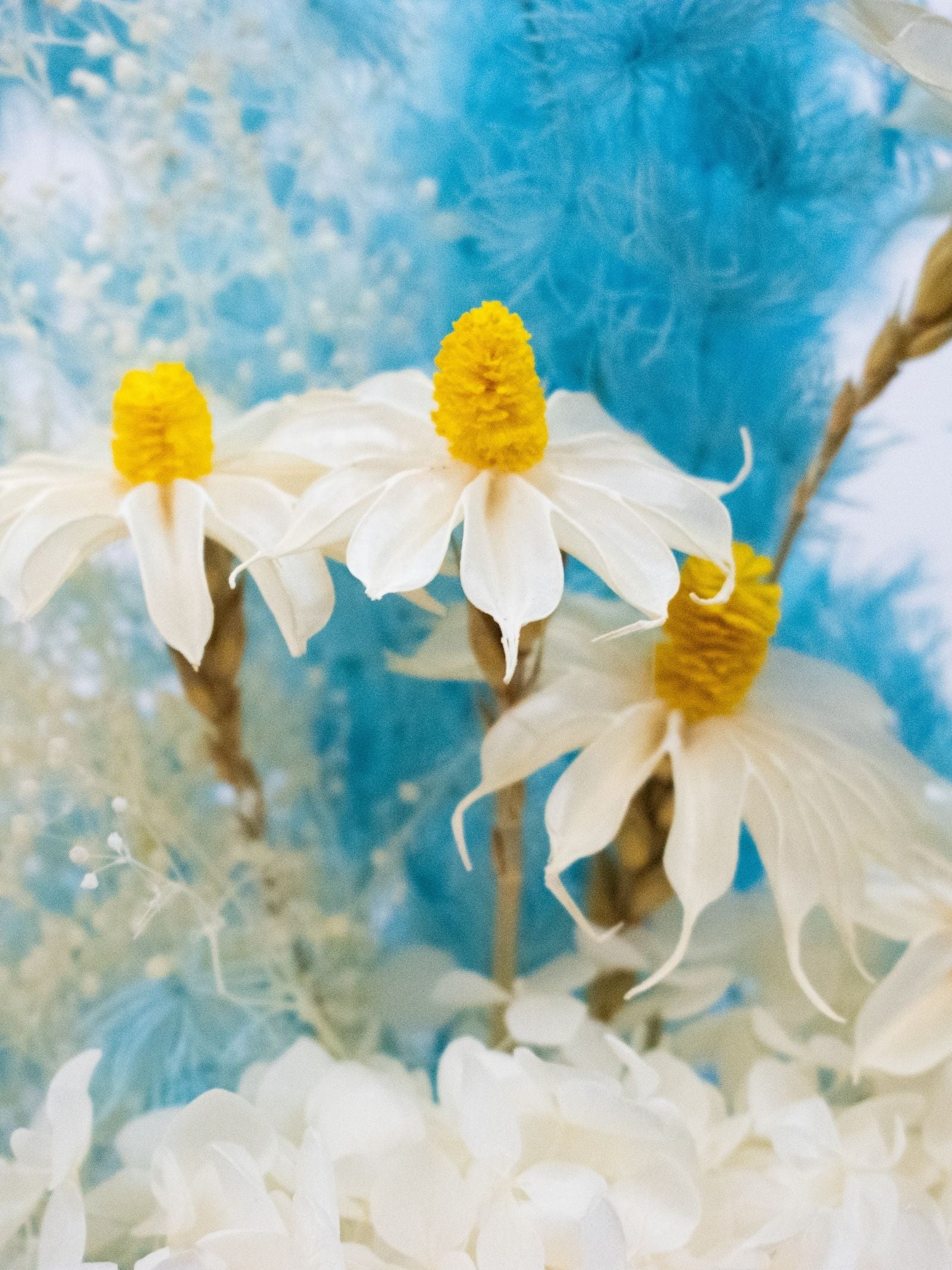 Elsa – White & Blue Preserved and Dried Flower Bouquet – Classic