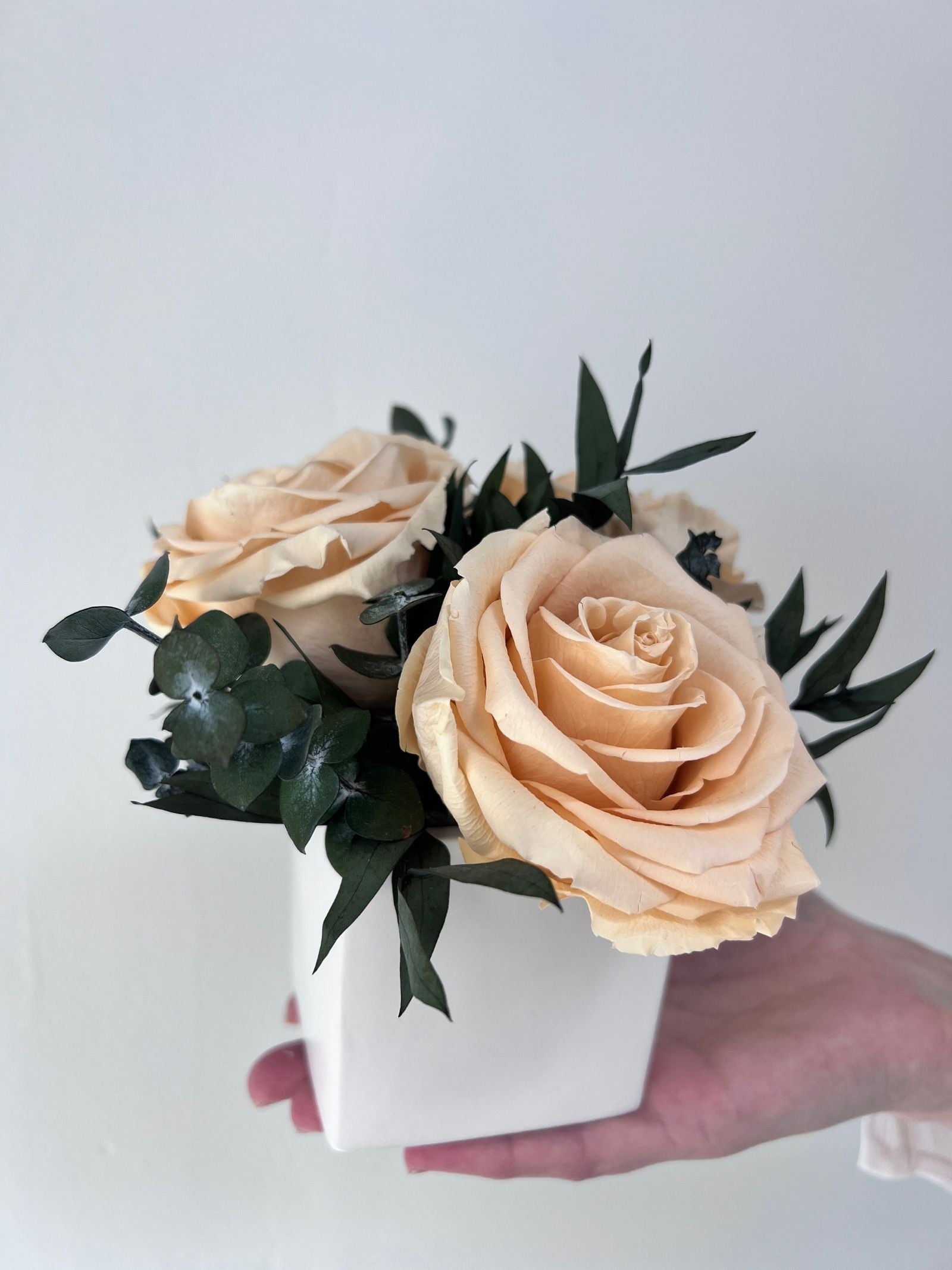 Camille – Peach Preserved Premium Rose Arrangement in White Ceramic Vase – Signature