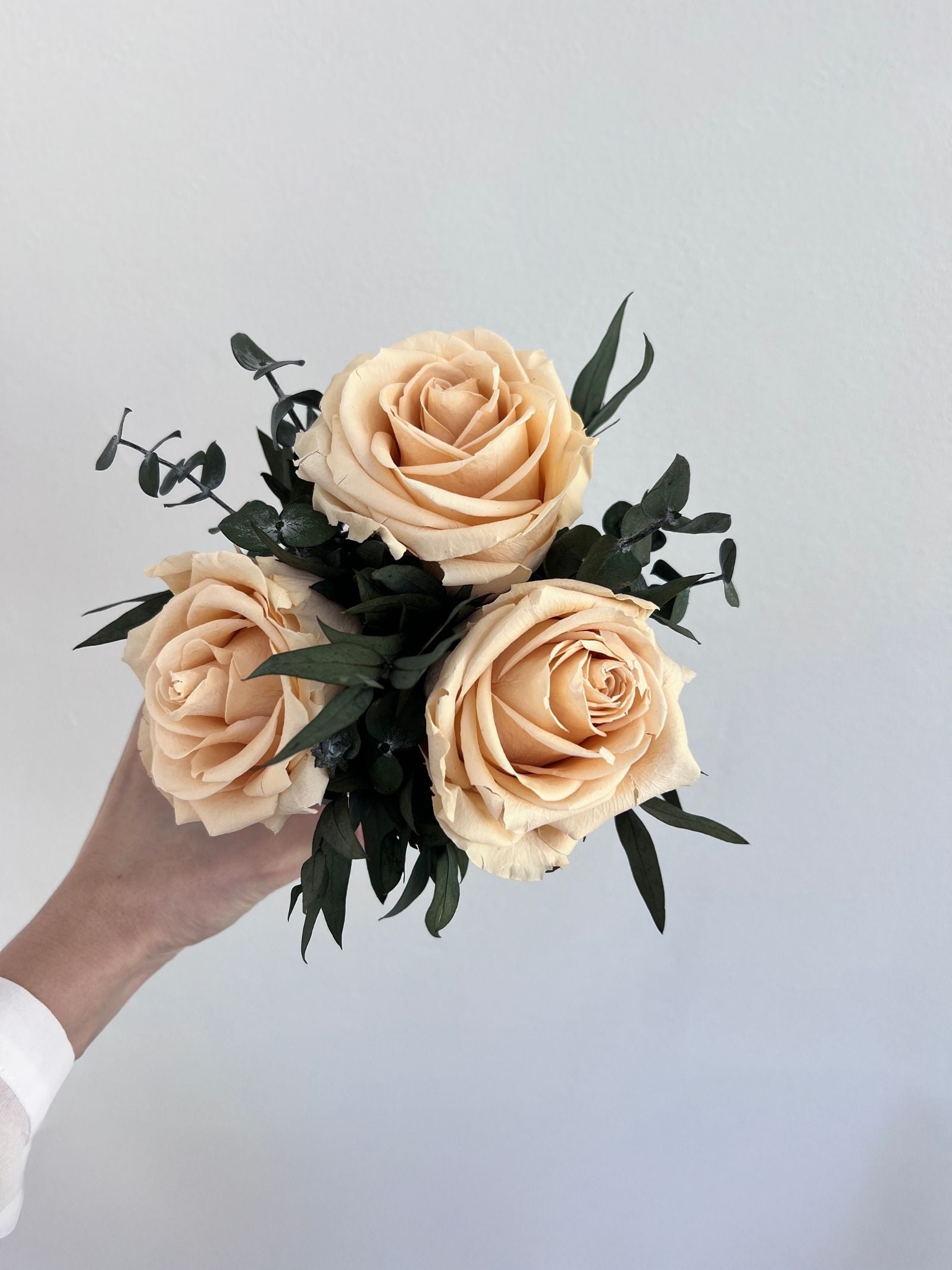 Camille – Peach Preserved Premium Rose Arrangement in White Ceramic Vase – Signature