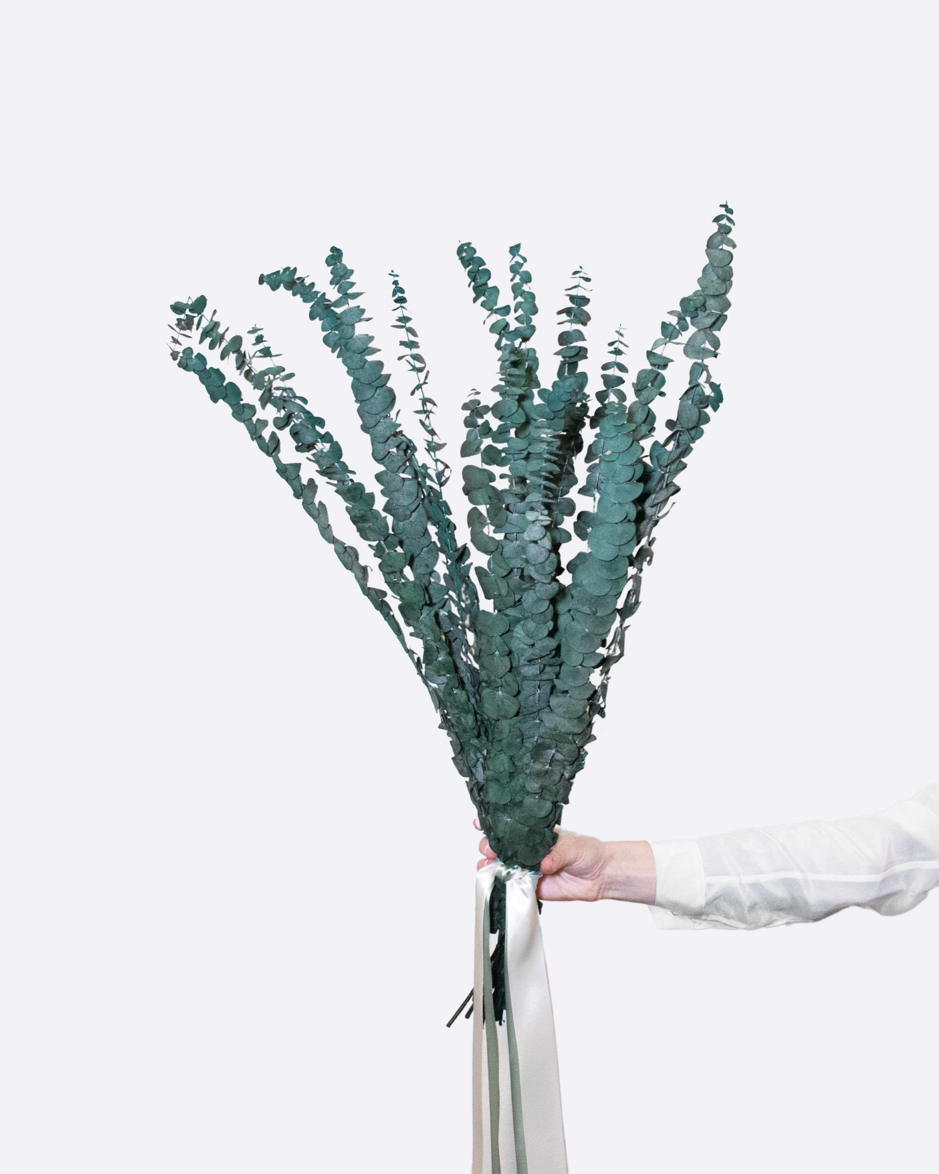 Alfie – Preserved Eucalyptus Greenery Bunch – Classic