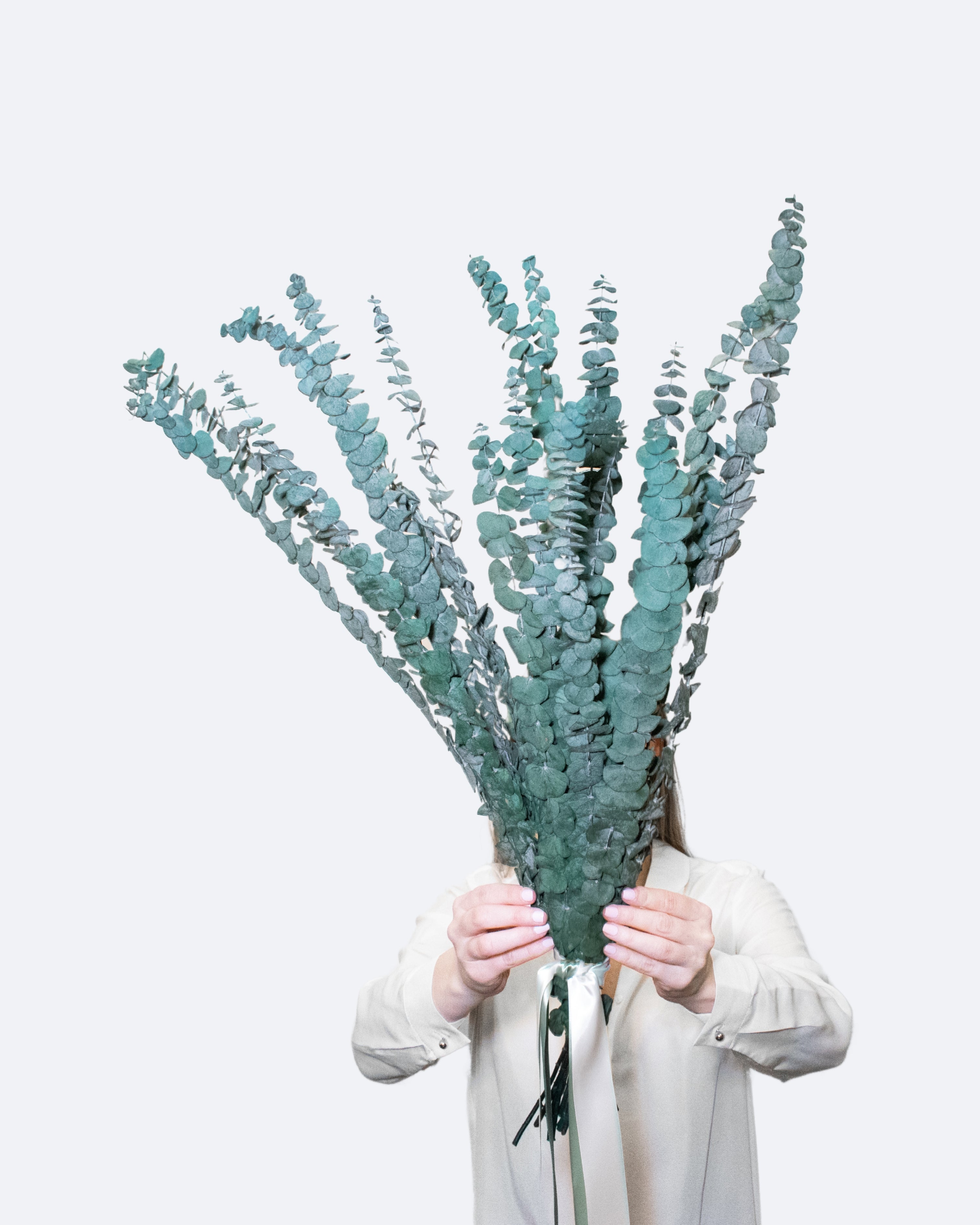 Alfie – Preserved Eucalyptus Greenery Bunch – Classic