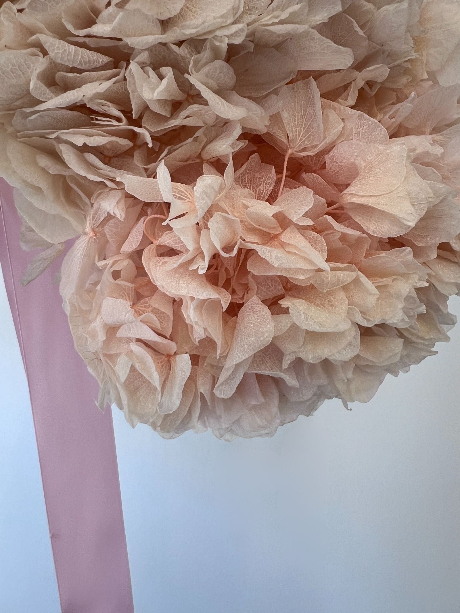 Cashmere – Peachy Light Pink Preserved Hydrangea Bouquet – Classic