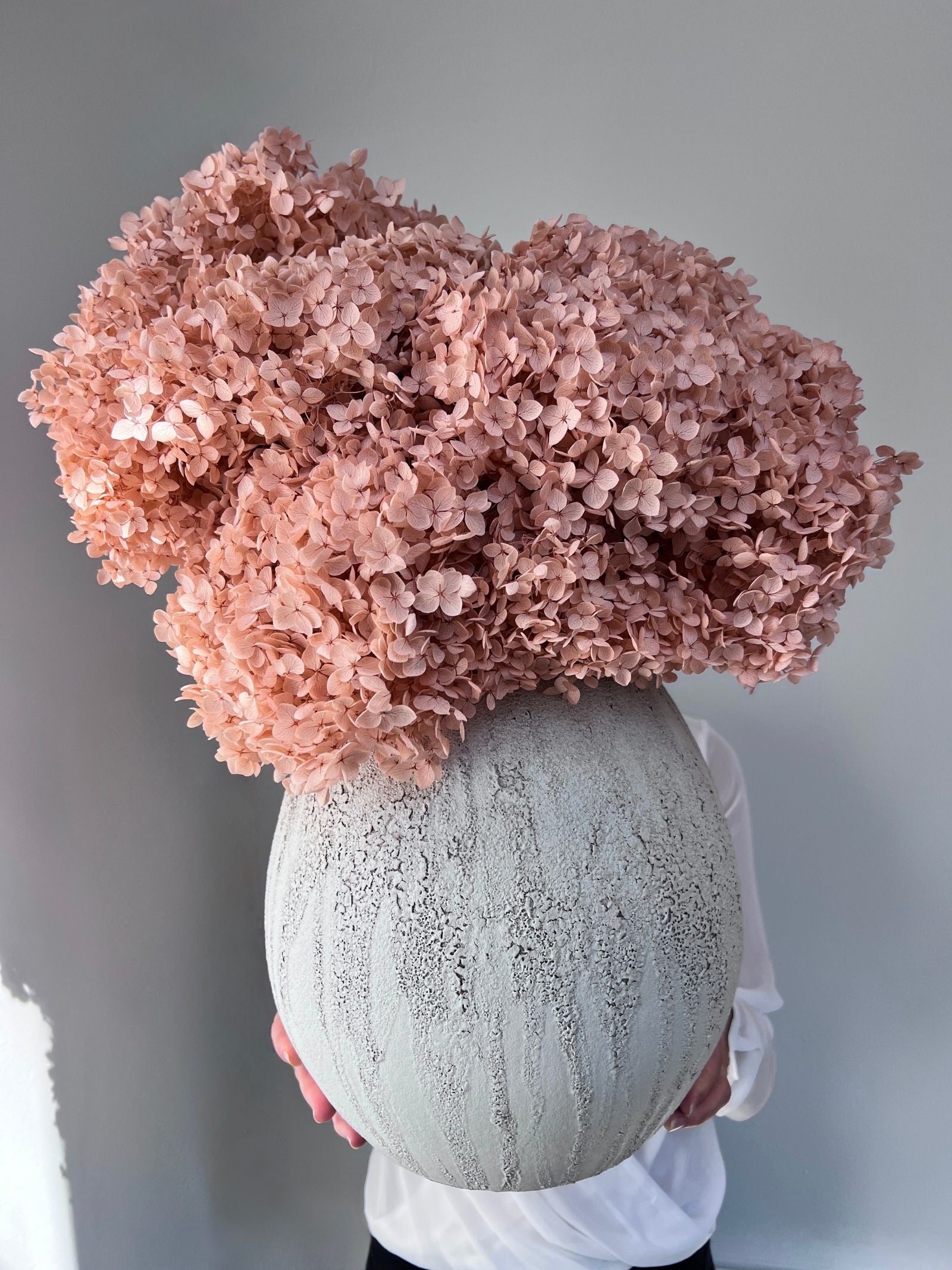 Celeste – Oyster Pink Small Petal Preserved Hydrangea Arrangement in Modern Textured Vase – Luxe
