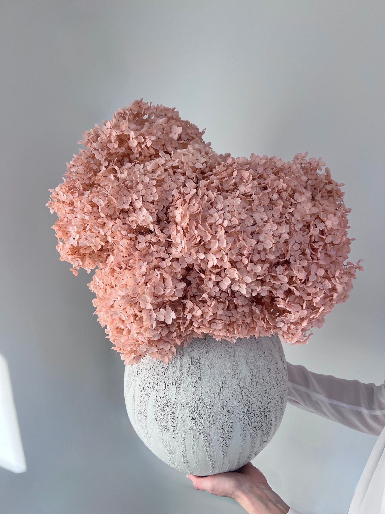 Celeste – Oyster Pink Small Petal Preserved Hydrangea Arrangement in Modern Textured Vase – Luxe