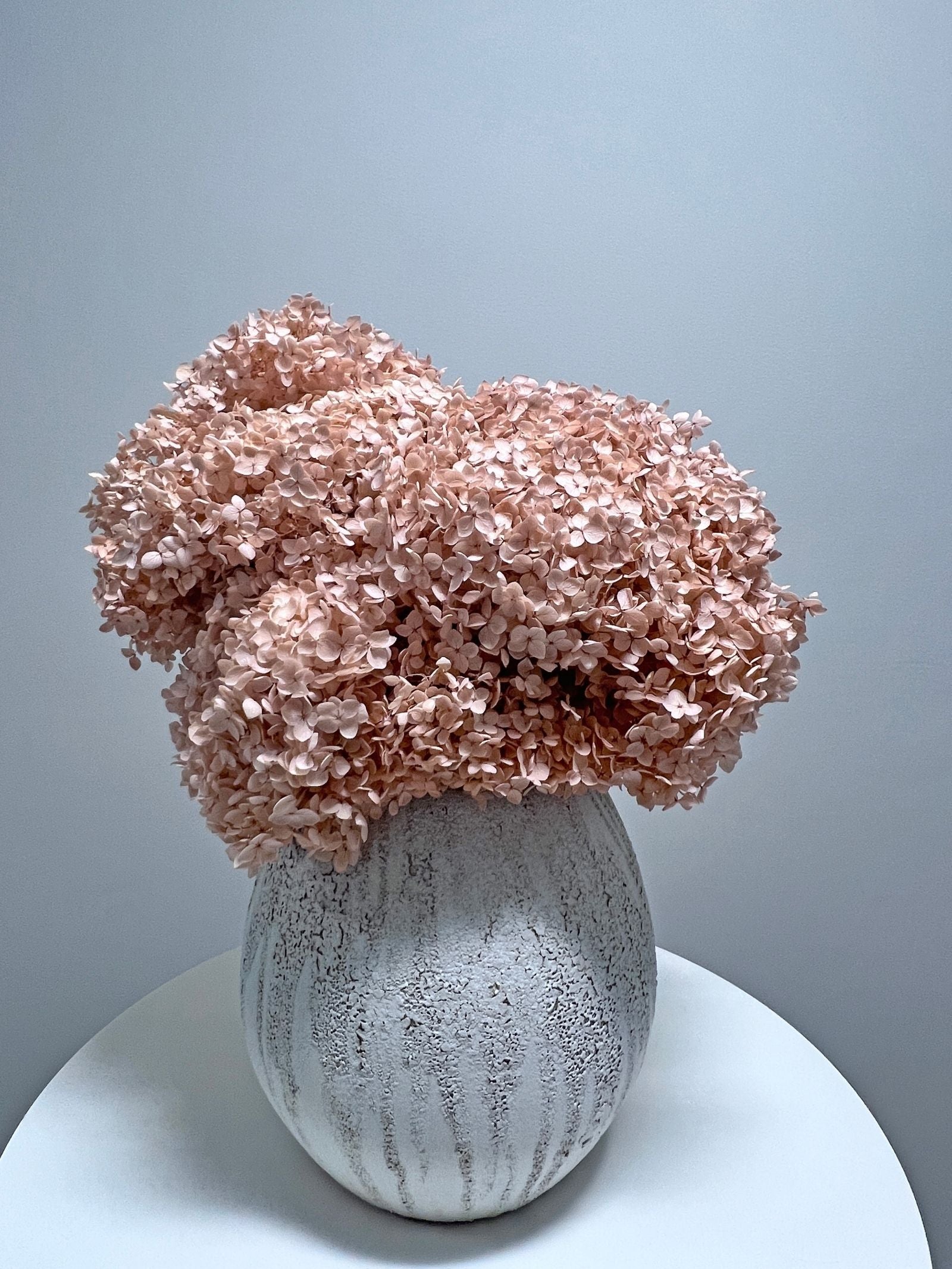 Celeste – Oyster Pink Small Petal Preserved Hydrangea Arrangement in Modern Textured Vase – Luxe
