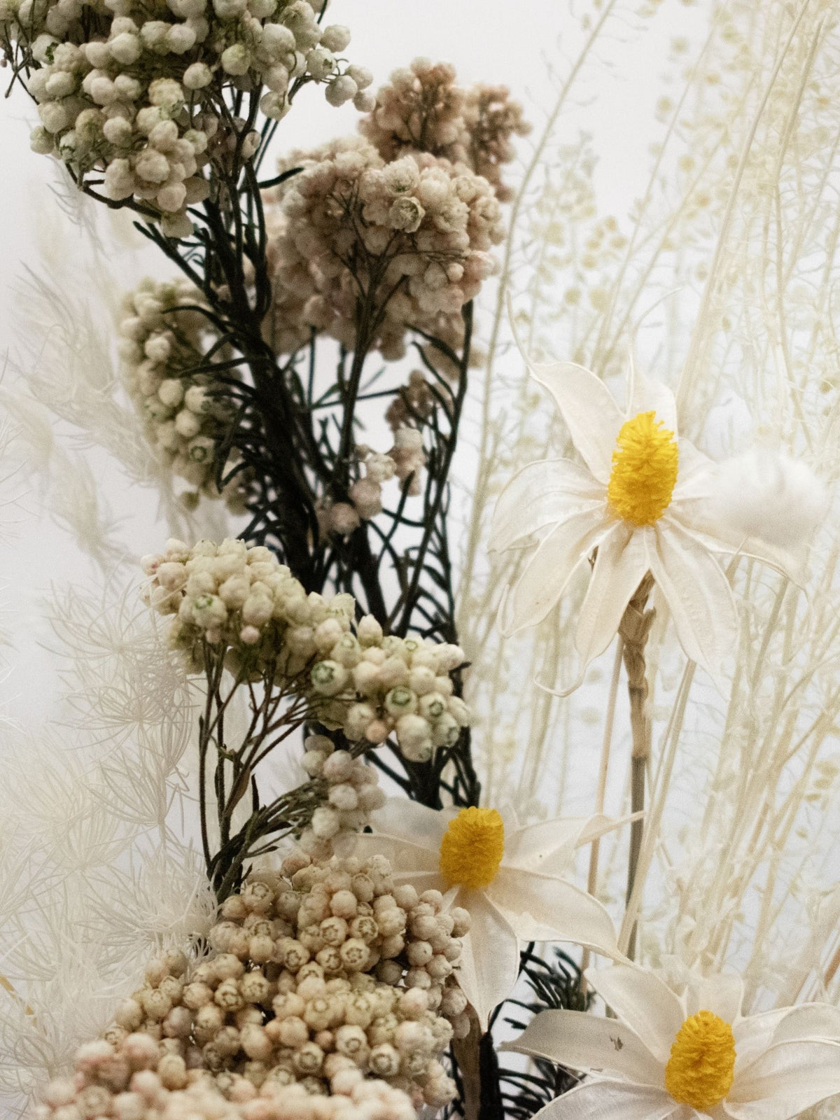 Pearl – Petite White Dried and Preserved Flower Bouquet – Classic