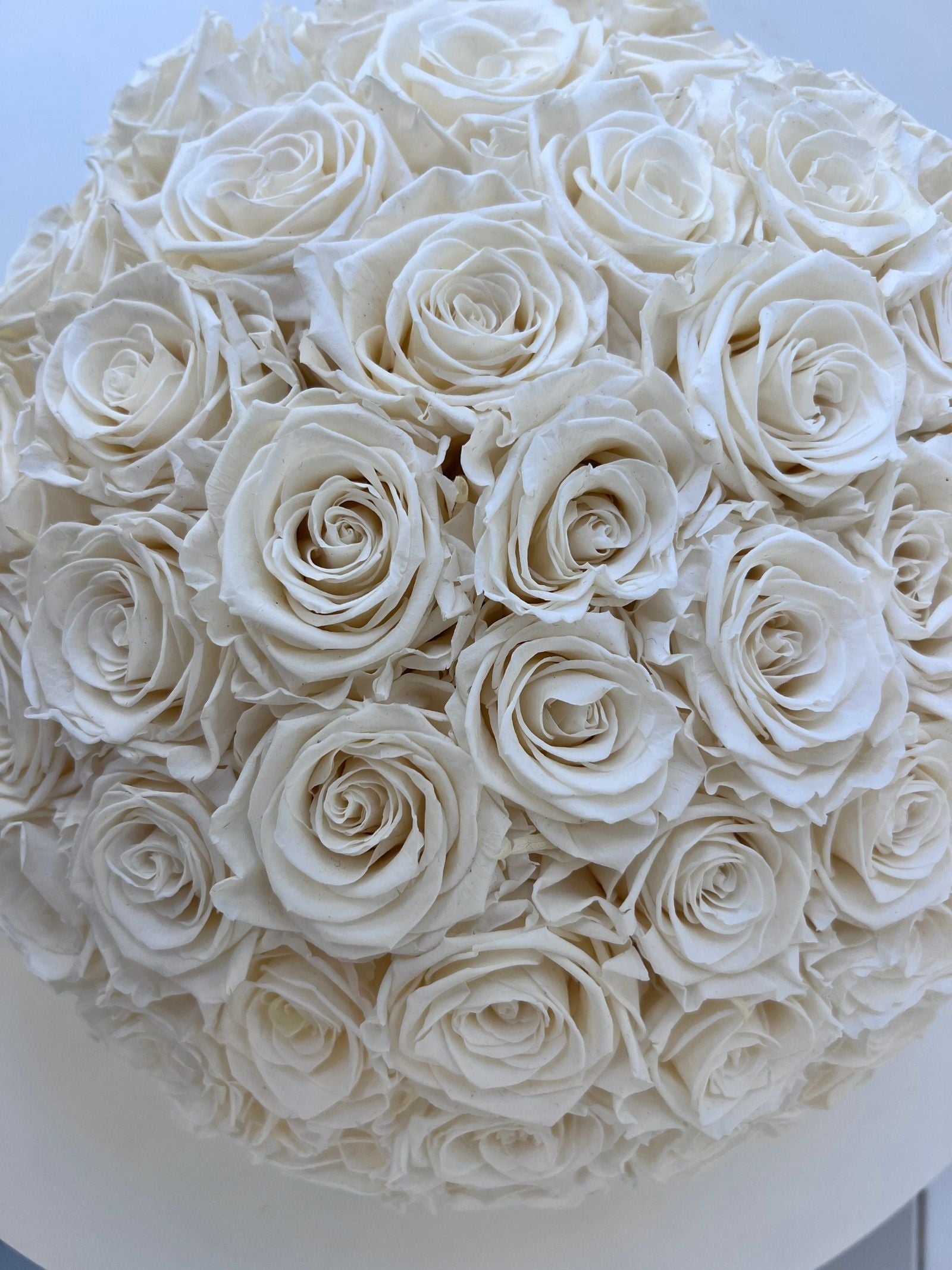 Amélie – Cream White Preserved Rose Arrangement in White Ceramic Bowl – Luxe (Exclusive Piece)