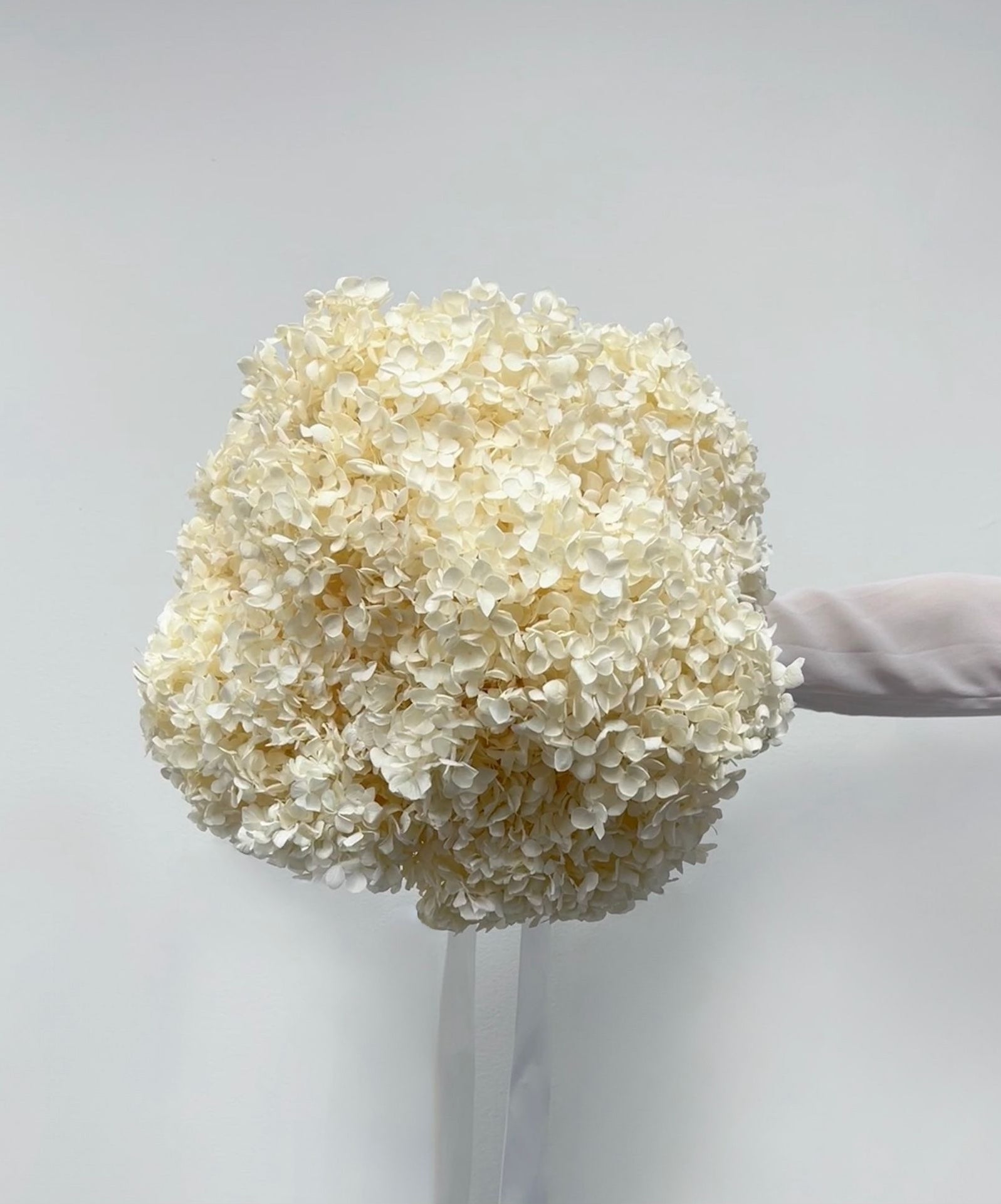 Ivory Muse – Cream White Preserved Hydrangea Bouquet – Classic