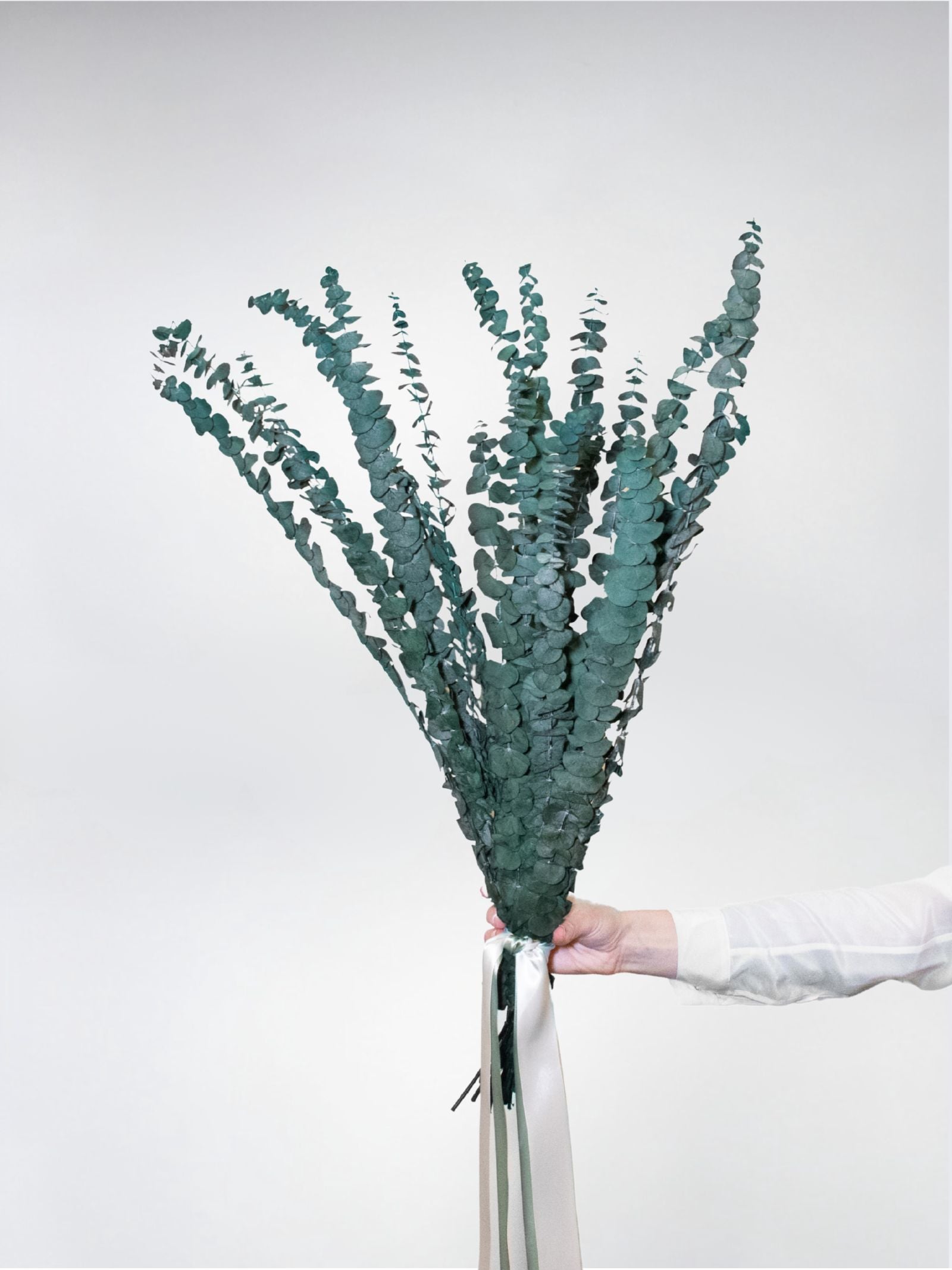 Alfie – Preserved Eucalyptus Greenery Bunch – Classic