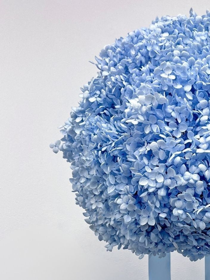 Whispering Blue – Pastel Blue Preserved Hydrangea Bouquet – Classic
