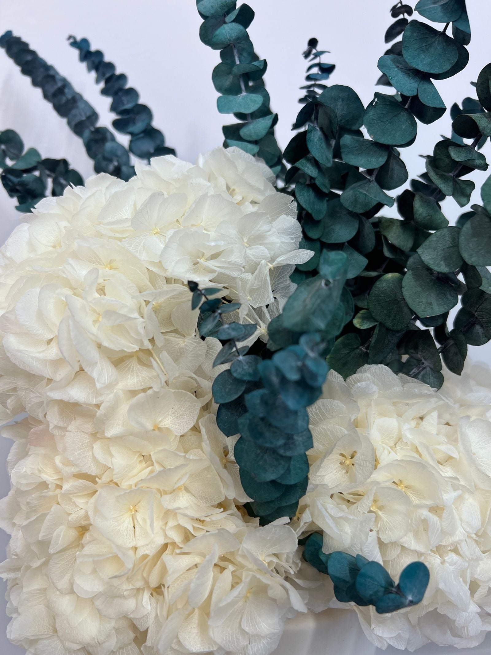 Aurelia – Ivory White Preserved Hydrangea Arrangement in Premium White Vase – Luxe