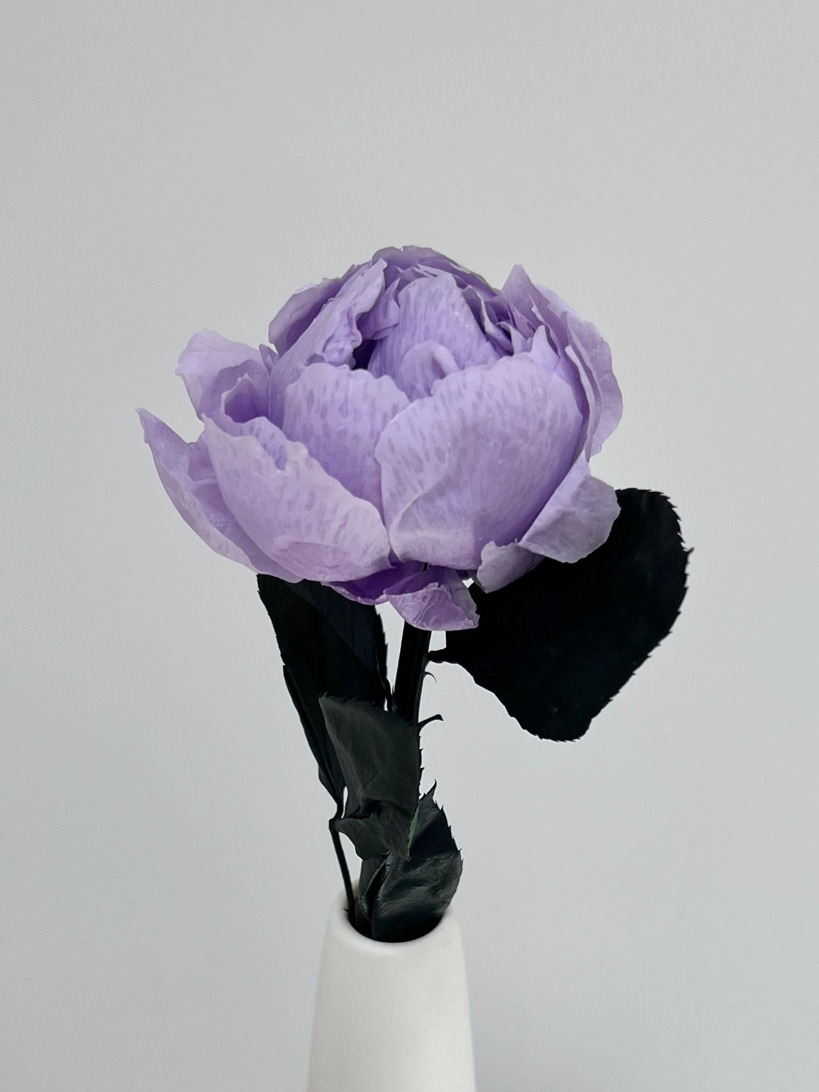 The Classic Peony – Light Lavender Long Stem Preserved Peony in Ceramic Bud Vase – Classic