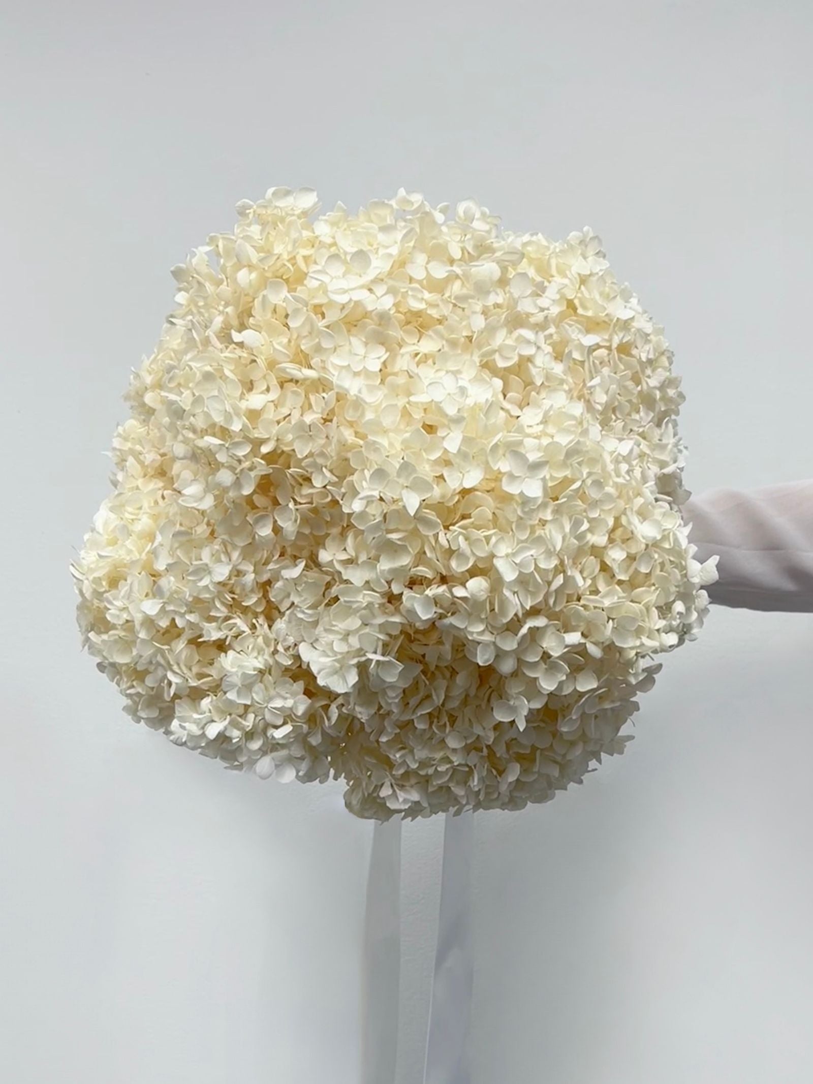 Ivory Muse – Cream White Preserved Hydrangea Bouquet – Classic