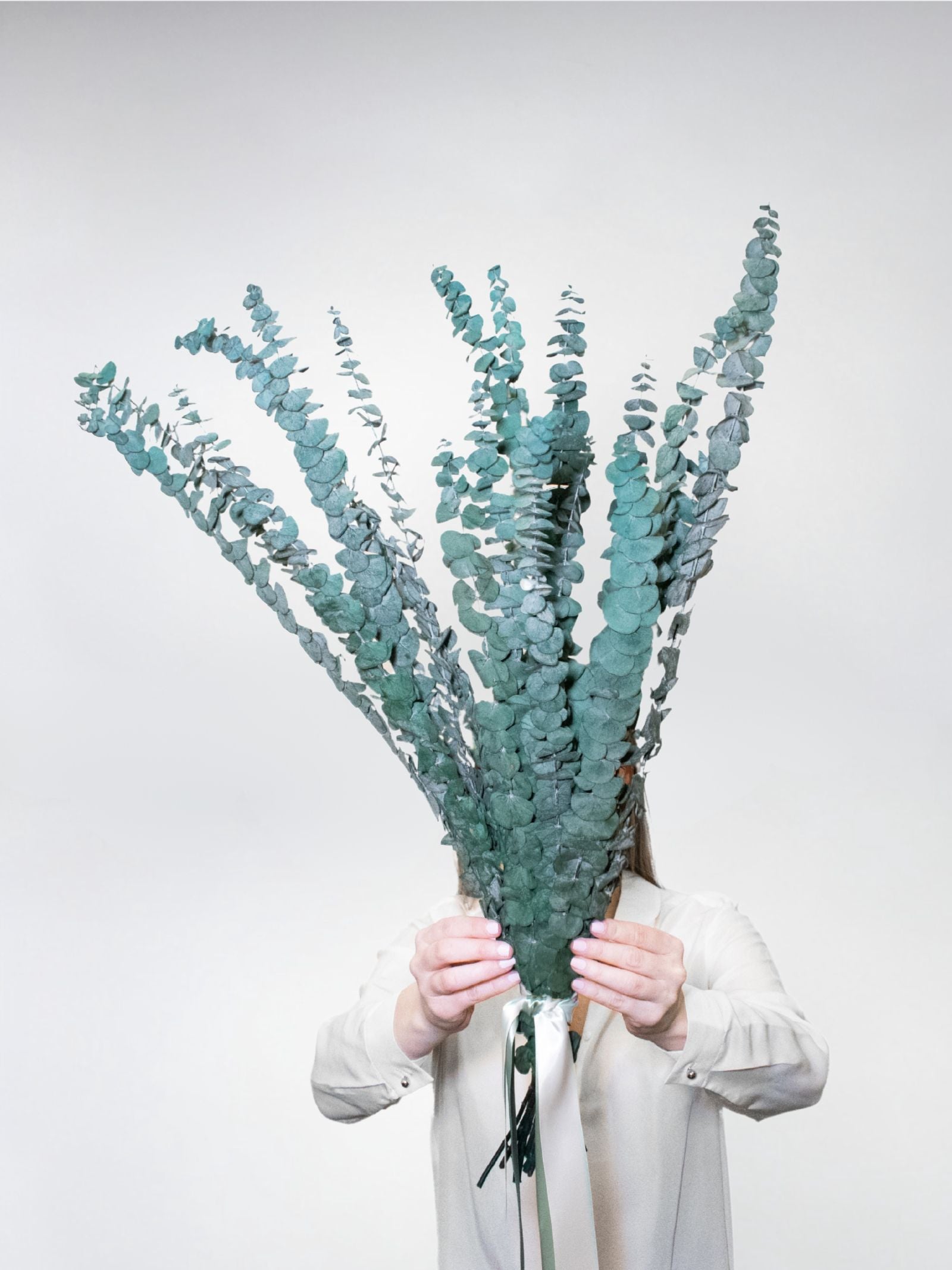 Alfie – Preserved Eucalyptus Greenery Bunch – Classic