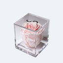 <h3>40% OFF</h3>