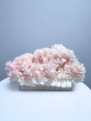 A Year of Giving - Floral Gift Guide for Every Occasion