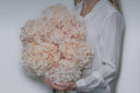 What Are Preserved Flowers? A Beginner’s Guide to Everlasting Beauty