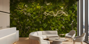 Eco-Friendly Office Design with Preserved Moss Walls