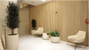 Biophilic Design in NYC Offices: The Case for Preserved Greenery in 2026