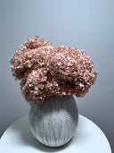 Small Floral Decor Ideas for College Dorms & First Apartments