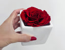 The New Standard: Why Preserved Roses are the Most Considered Choice for a Modern Valentine