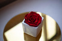 Discover the Beauty of Nordblooms Preserved Flowers