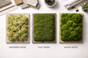 Preserved moss varieties for commercial specification — reindeer moss, flat moss, and mood moss samples from Nordblooms, NYC biophilic design studio
