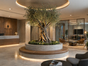  Preserved olive tree in a New York City commercial lobby by Nordblooms — maintenance-free botanical specimen delivering biophilic presence and spatial character  