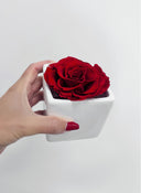 Gifts For Her