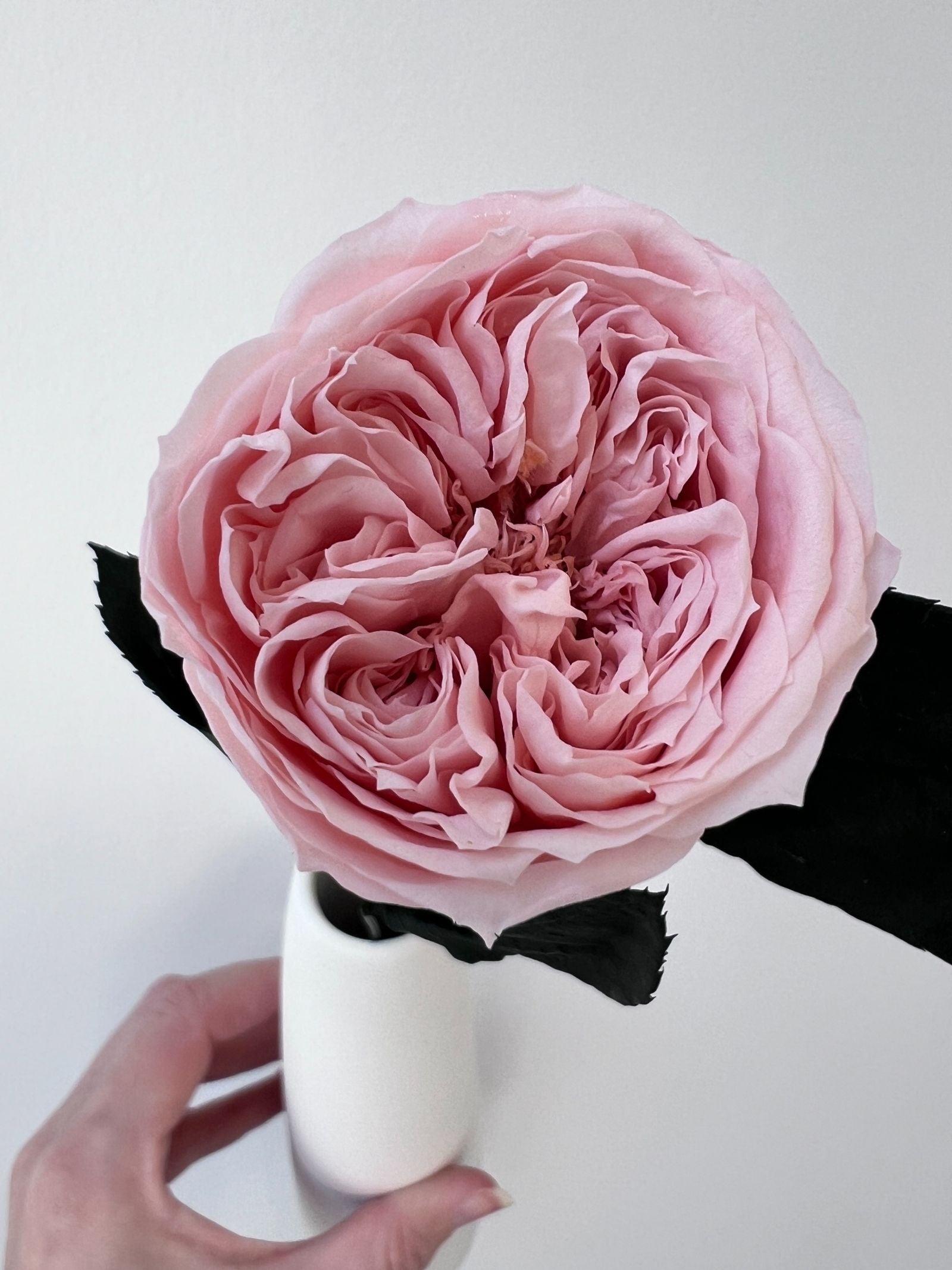 Zoomed product image