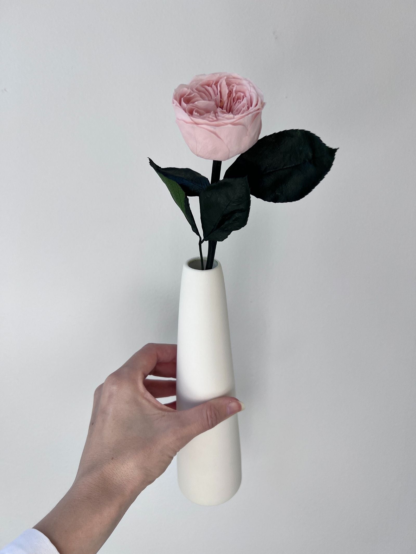 Zoomed product image