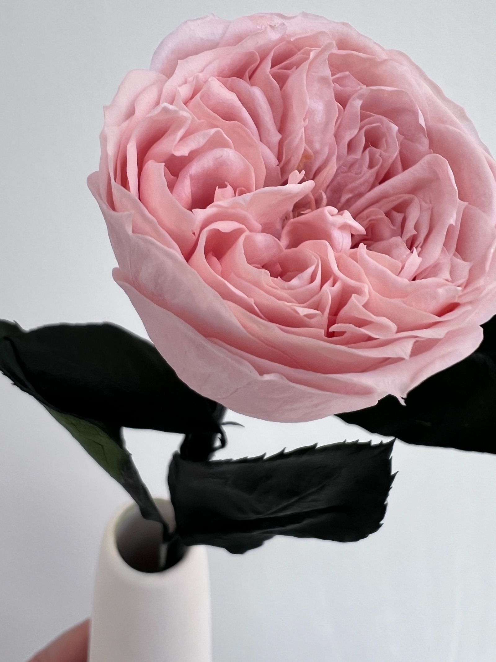 Zoomed product image