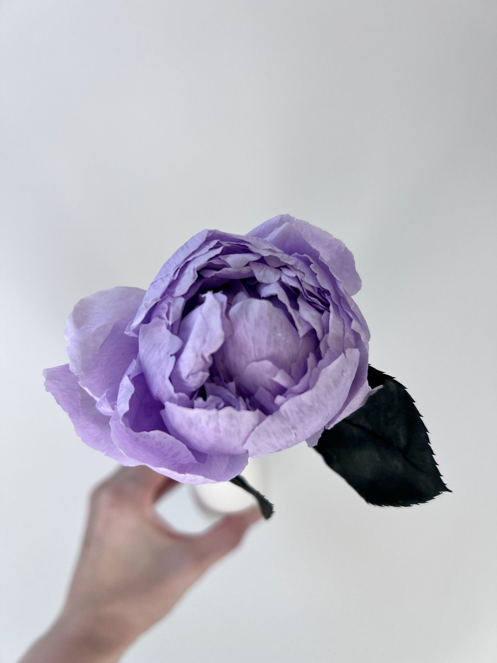 Zoomed product image