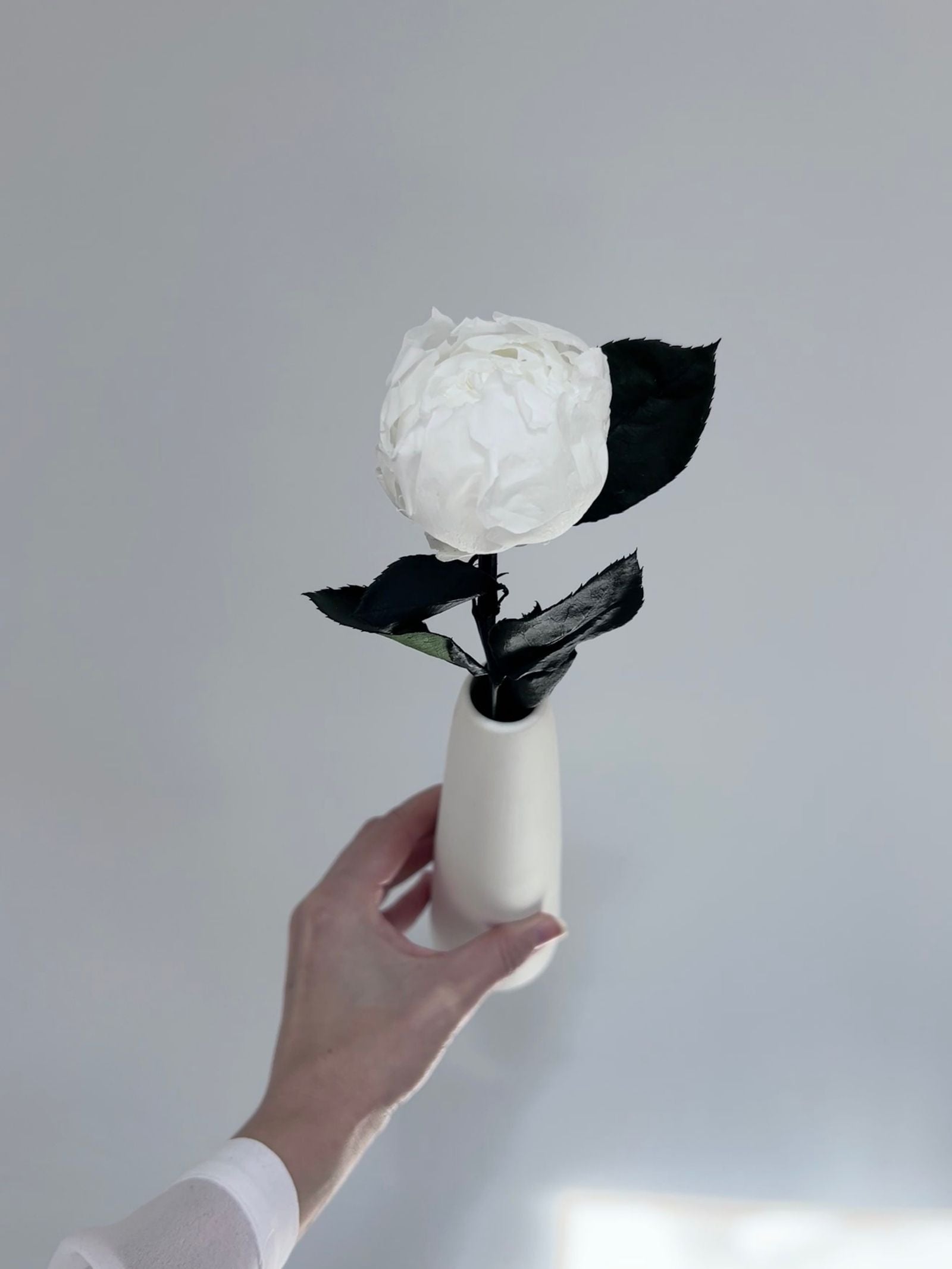 Zoomed product image