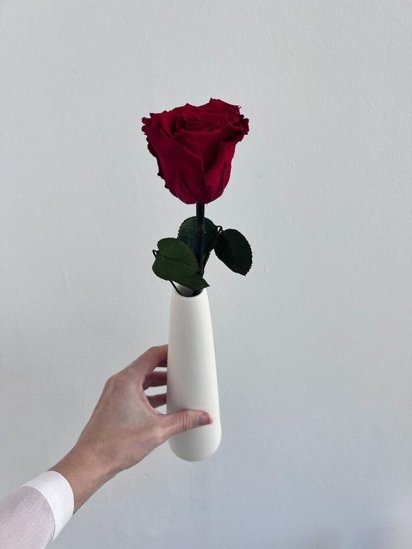 The Classic Rose – Burgundy Red