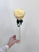 The Classic Rose – Creme White Long Stem Preserved Rose in Ceramic Bud Vase – Classic