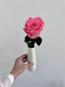 The Classic Rose – French Pink Long Stem Preserved Rose in Ceramic Bud Vase – Classic