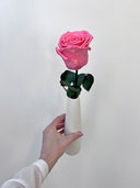 Pink preserved rose held at arm's length in a white bud vase