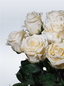 Rosa Vase Arrangement