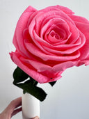 Macro close-up of the petals of a French pink preserved rose
