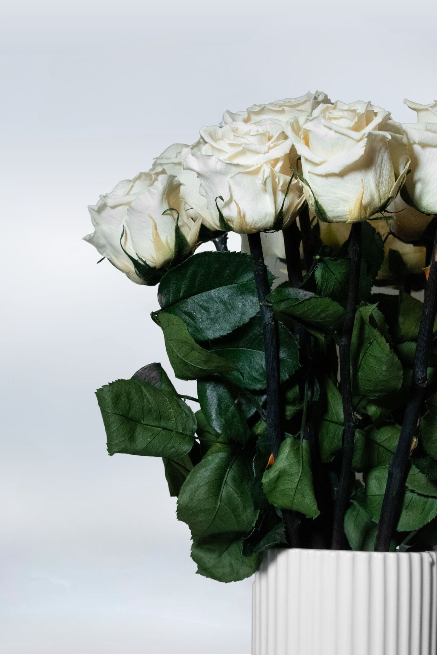 Rosa Vase Arrangement