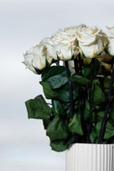 Rosa preserved rose arrangement seen from the side in its white ribbed ceramic vase