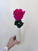 The Classic Rose – Fuchsia Pink Long Stem Preserved Rose in Ceramic Bud Vase – Classic